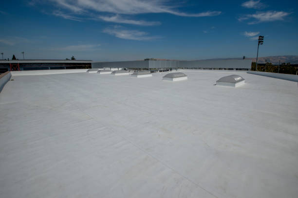 Best Storm Damage Roof Repair  in Laupahoehoe, HI