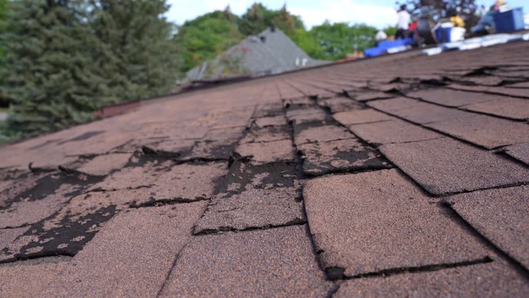 Best Hot Roofs  in Laupahoehoe, HI