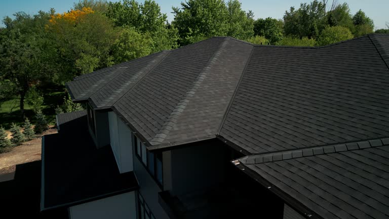 Best Asphalt Shingles Roofing  in Laupahoehoe, HI