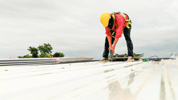 Best Commercial Roofing Services  in Laupahoehoe, HI