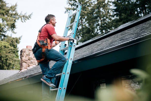 Best Roof Ventilation Installation  in Laupahoehoe, HI