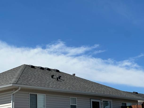 Best Rubber Roofing (EPDM, TPO)  in Laupahoehoe, HI